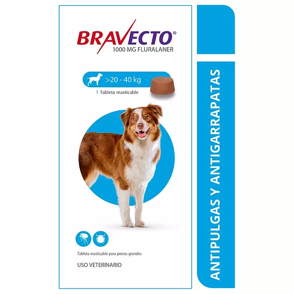 Bravecto Antiparasitario