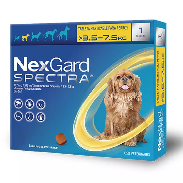 Nexgard Spectra Antiparasitario