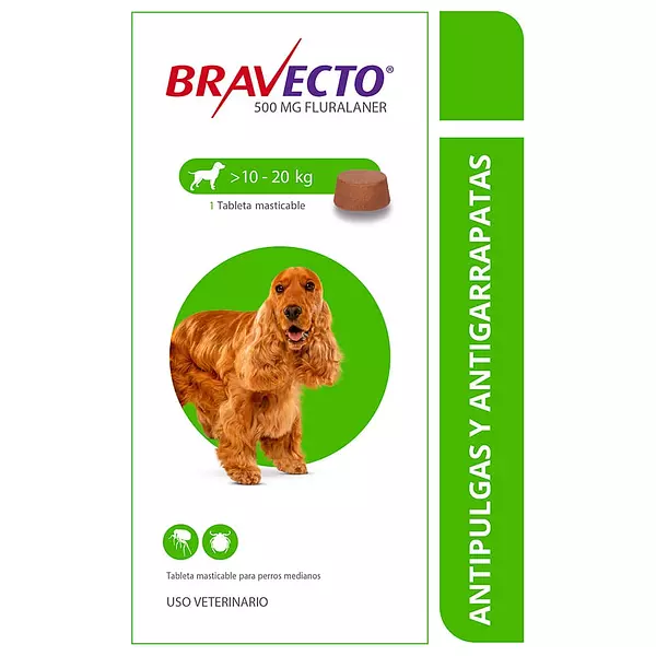 Bravecto Antiparasitario