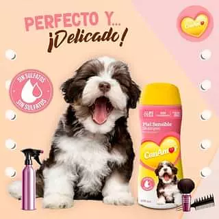 Shampoo Piel Sensible 