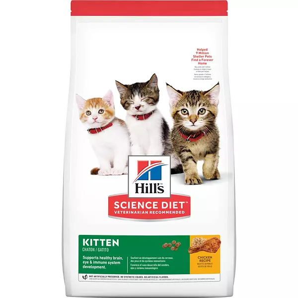 Hills Kitten / Gaticos