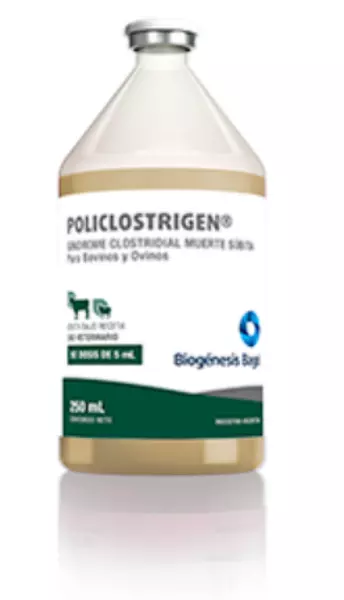 Policlostrigen T12 X 50 Dosis