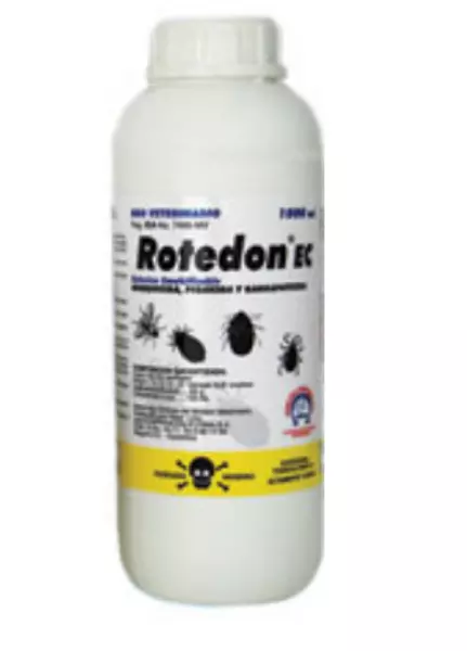 Rotedon Ec