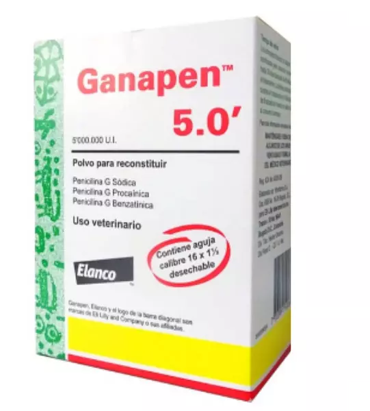 Ganapen X 5