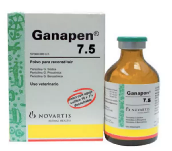 Ganapen X 7.5