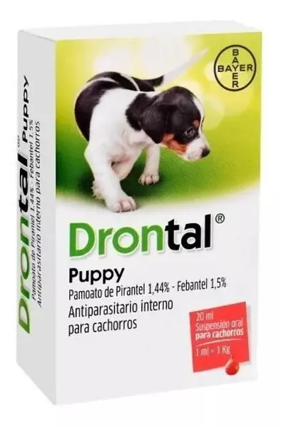 Drontal Cachorros