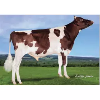 Semex Pigment Red