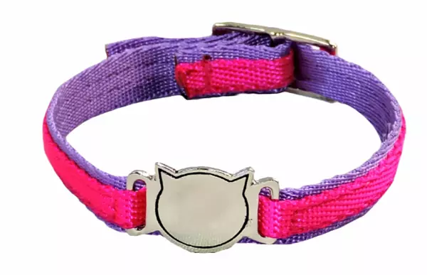 Collar Placa Fija Xs