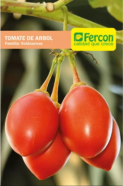 Tomate De Árbol