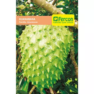Guanabana