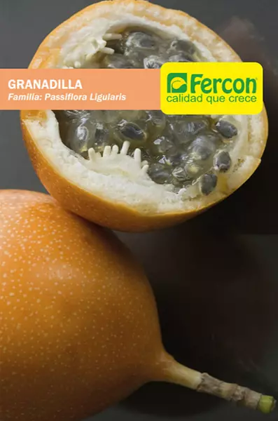 Granadilla