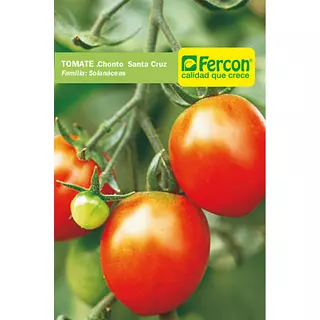 Tomate Chonto Santa Cruz