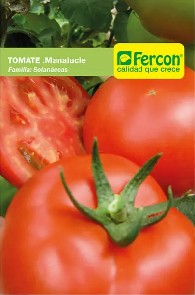 Tomate Manlucie