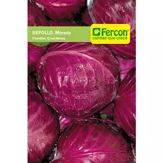Repollo Morado