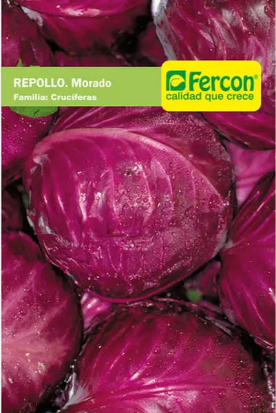 Repollo Morado