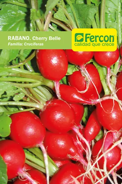 Rábano Cherry Belle