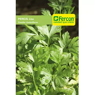 Perejil Lizo