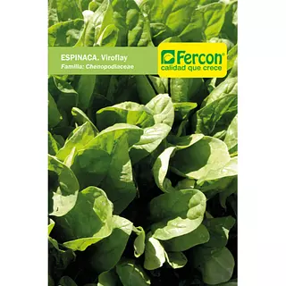 Espinaca Viroflay
