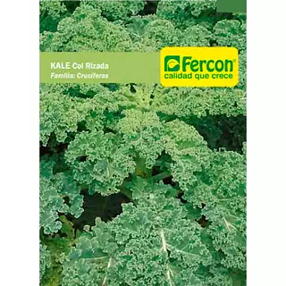 Kale Col Rizada