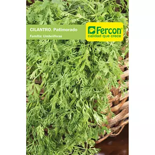 Cilantro Patimorado