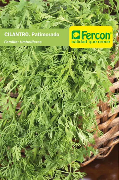 Cilantro Patimorado