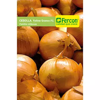 Cebolla Hibrida Yellow