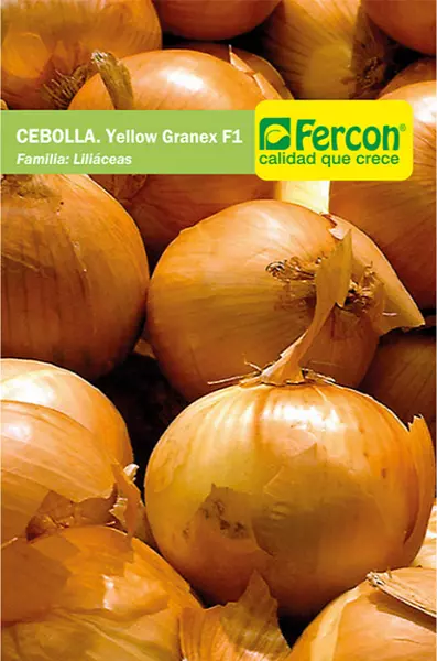 Cebolla Hibrida Yellow