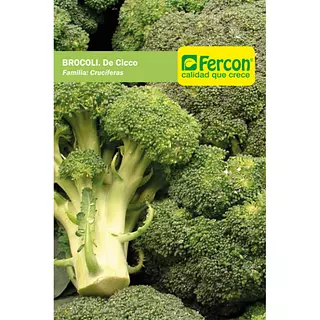 Broccoli De Cicco