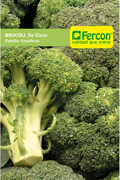 Broccoli De Cicco