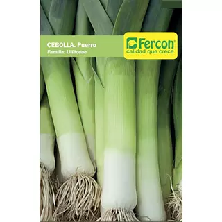 Cebolla Puerro Carentan