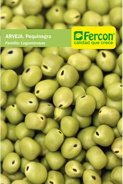 Arveja Pequinegra