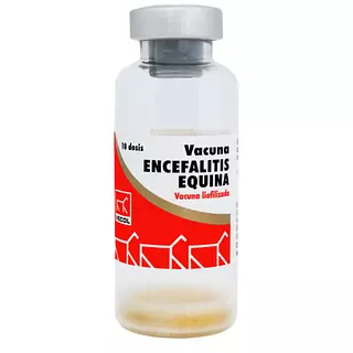 Encefalitis Equina