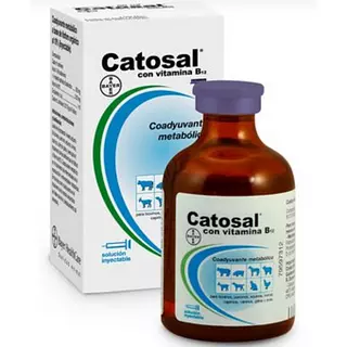 Catosal B12 X 100 Ml