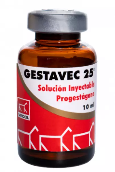 Gestavec 25