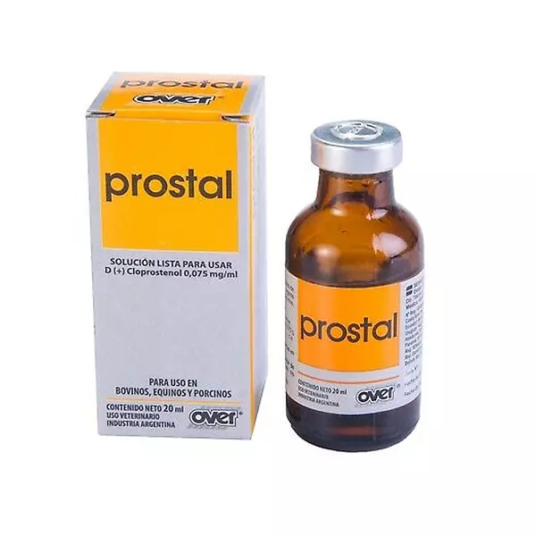 Prostal