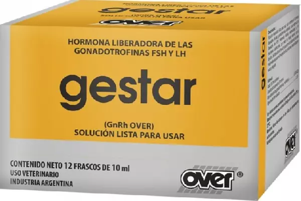 Gestar