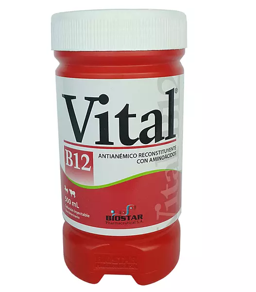 Vital B12