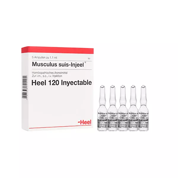 Musculus Suis Injeele 2.2ml Ampolla - Heel