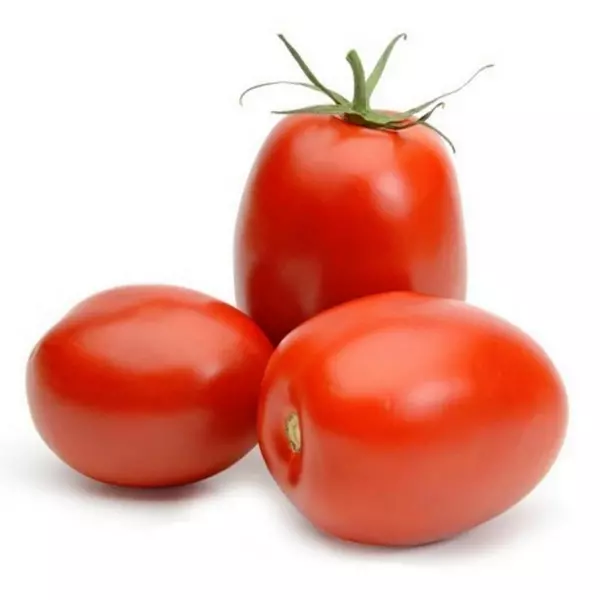 Tomate