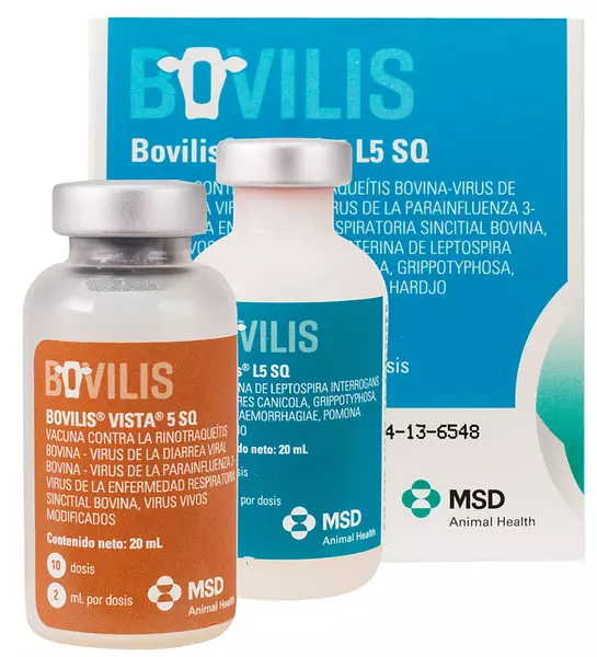 Bovilis Vista L5 Sq X 10 Dosis