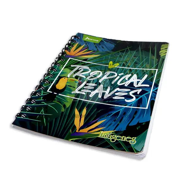 Cuaderno Argollado