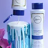 Shampoo Anticaspa Anyeluz