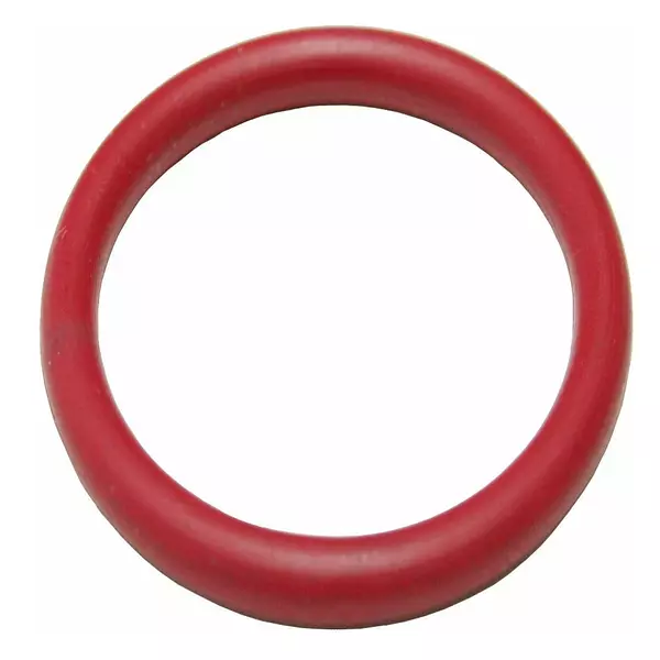 O-Ring (Rg60)