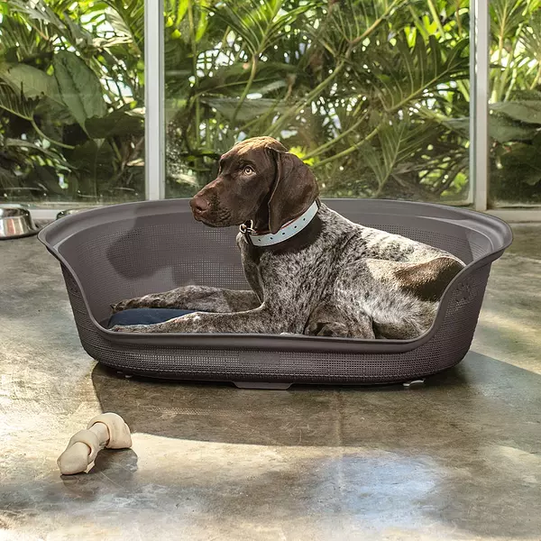 Cama Para Perro Rimax