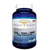 Cal-Mag-Zinc Plus Vitamin D Softgels Systems