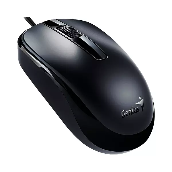 Mouse Dx -120 Usb Genius Negro