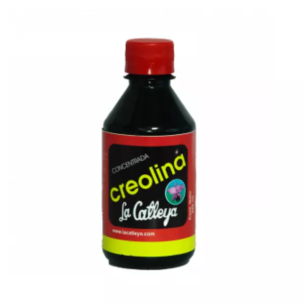 Creolina Catleya