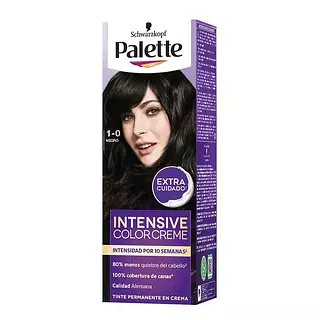 Tinte Palette Negro 1.0