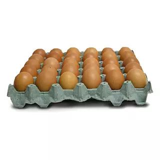 Huevo Gallina Rapi Tipo A