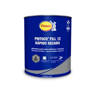 Pintuco Fill 12 Rápido Secado